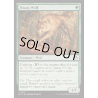 [EX+](FOIL)若き狼/Young Wolf《英語》【INR】