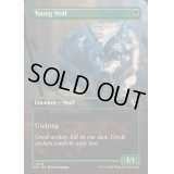 [EX+](FOIL)(フルアート)若き狼/Young Wolf《英語》【INR】
