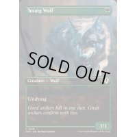 [EX+](フルアート)若き狼/Young Wolf《英語》【INR】