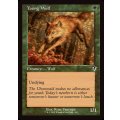 (旧枠仕様)若き狼/Young Wolf《英語》【INR】