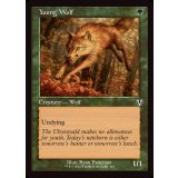 (旧枠仕様)若き狼/Young Wolf《英語》【INR】