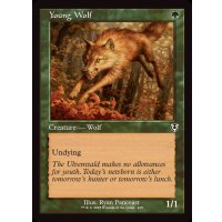 (旧枠仕様)若き狼/Young Wolf《英語》【INR】