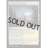 (FOIL)草茂る農地/Overgrown Farmland《英語》【INR】
