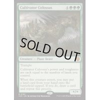 [EX+]耕作する巨躯/Cultivator Colossus《英語》【INR】