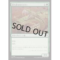 待ち伏せのバイパー/Ambush Viper《日本語》【INR】