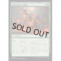 支配を懸けた決闘/Duel for Dominance《日本語》【INR】