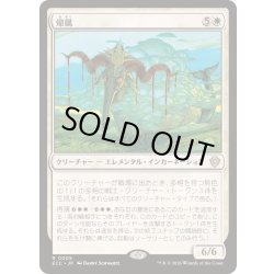 画像1: 帰属/Belonging《日本語》【ECC】