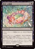 墓所への敬慕/Grave Venerations《日本語》【ECC】