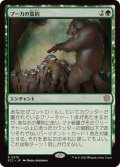 プーカの誓約/Puca's Covenant《日本語》【ECC】