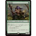 [EX+]下賤の教主/Ignoble Hierarch《日本語》【ECC】