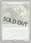 茨の騎兵/Cavalier of Thorns《日本語》【ECC】
