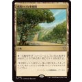 風変わりな果樹園/Exotic Orchard《日本語》【ECC】