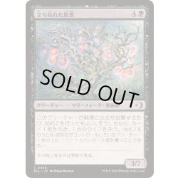 画像1: 立ち枯れた黒茨/Blighted Blackthorn《日本語》【ECL】