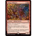 村荒らし/Village Pillagers《英語》【ECC】