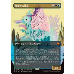 画像1: (フルアート)(0143)発現する浅瀬/Risen Reef《日本語》【SPG】