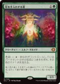 (FOIL)花を手入れする者/Bloom Tender《日本語》【ECL】