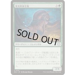 画像1: 発光軟体生物/Luminollusk《日本語》【ECL】