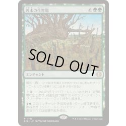 画像1: 若木の生育場/Sapling Nursery《日本語》【ECL】