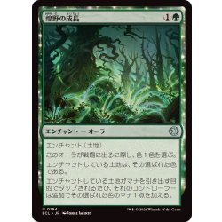 画像1: 煌野の成長/Shimmerwilds Growth《日本語》【ECL】