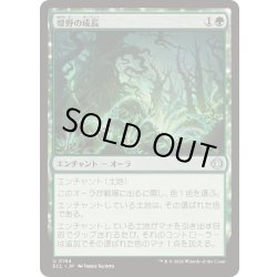 画像1: [EX+](FOIL)煌野の成長/Shimmerwilds Growth《日本語》【ECL】