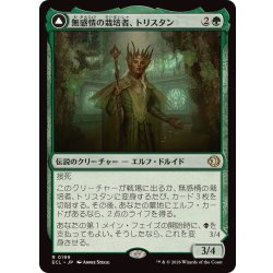 画像1: 無感情の栽培者、トリスタン/Trystan, Callous Cultivator《日本語》【ECL】