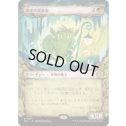 画像1: (ショーケース枠)易変の探検者/Mutable Explorer《日本語》【ECL】