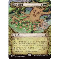 画像1: (ショーケース枠)若木の生育場/Sapling Nursery《日本語》【ECL】