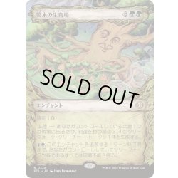 画像1: [EX+](ショーケース枠)若木の生育場/Sapling Nursery《日本語》【ECL】