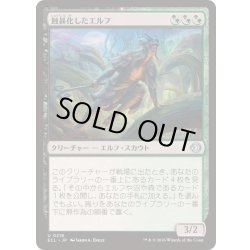画像1: [EX+](FOIL)蝕甚化したエルフ/Eclipsed Elf《日本語》【ECL】