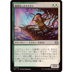 画像1: 蝕甚化したキスキン/Eclipsed Kithkin《日本語》【ECL】
