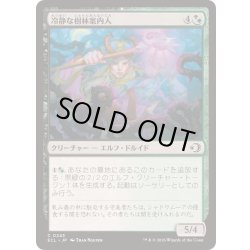 画像1: [EX+](FOIL)冷静な樹林案内人/Stoic Grove-Guide《日本語》【ECL】