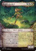 (ショーケース枠)蝕甚化したエルフ/Eclipsed Elf《日本語》【ECL】