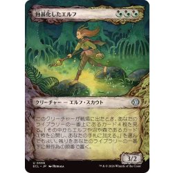 画像1: (ショーケース枠)蝕甚化したエルフ/Eclipsed Elf《日本語》【ECL】