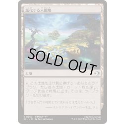 画像1: 進化する未開地/Evolving Wilds《日本語》【ECL】