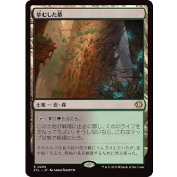 画像1: 草むした墓/Overgrown Tomb《日本語》【ECL】