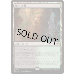 画像1: [EX+](FOIL)草むした墓/Overgrown Tomb《日本語》【ECL】