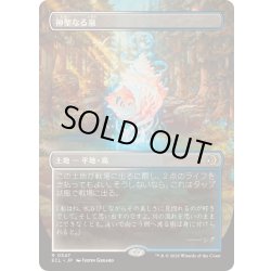 画像1: [EX+](FOIL)(フルアート)神聖なる泉/Hallowed Fountain《日本語》【ECL】