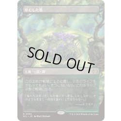 画像1: [EX+](フルアート)草むした墓/Overgrown Tomb《日本語》【ECL】