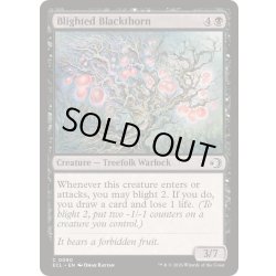 画像1: 立ち枯れた黒茨/Blighted Blackthorn《英語》【ECL】