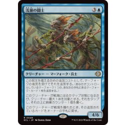 画像1: 浅瀬の闘士/Champions of the Shoal《日本語》【ECL】