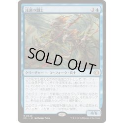 画像1: [EX+]浅瀬の闘士/Champions of the Shoal《日本語》【ECL】