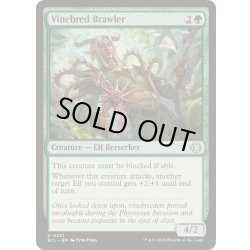 画像1: [EX+](FOIL)ツタ育ての喧嘩屋/Vinebred Brawler《英語》【ECL】