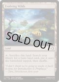 [EX+](FOIL)進化する未開地/Evolving Wilds《英語》【ECL】