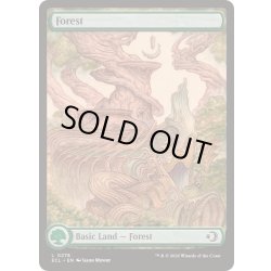画像1: [EX+](FOIL)(フルアート)(0278)森/Forest《英語》【ECL】