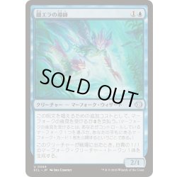 画像1: 銀エラの導師/Silvergill Mentor《日本語》【ECL】