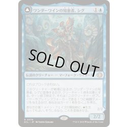 画像1: [EX+](FOIL)ワンダーワインの知恵者、シグ/Sygg, Wanderwine Wisdom《日本語》【ECL】