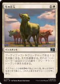 牛の介入/Bovine Intervention《日本語》【MSC】