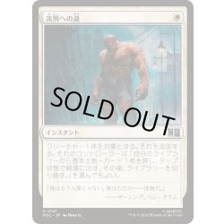 画像1: [EX+](サージFOIL)流刑への道/Path to Exile《日本語》【MSC】