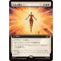 (フルアート)浄化の輝き/Cleansing Nova《日本語》【MSC】
