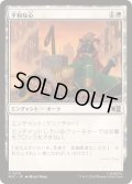 (FOIL)平和な心/Pacifism《日本語》【MSC】